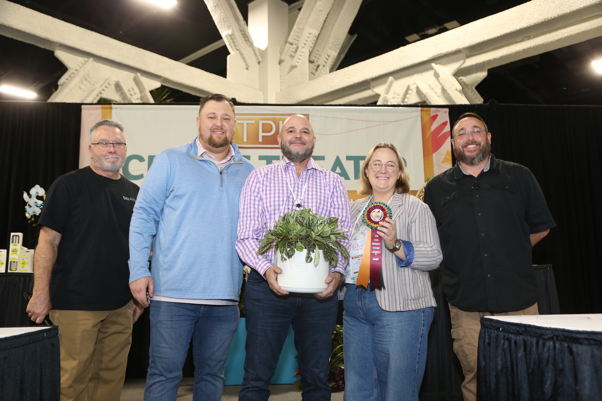 Michaelmoelleria 'Sapphire'